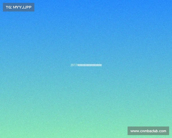 2017成都电子竞技—成都电子竞技产业协会